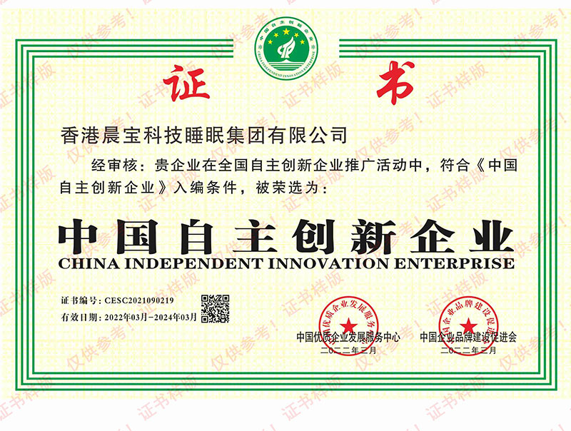中國自主創新企業