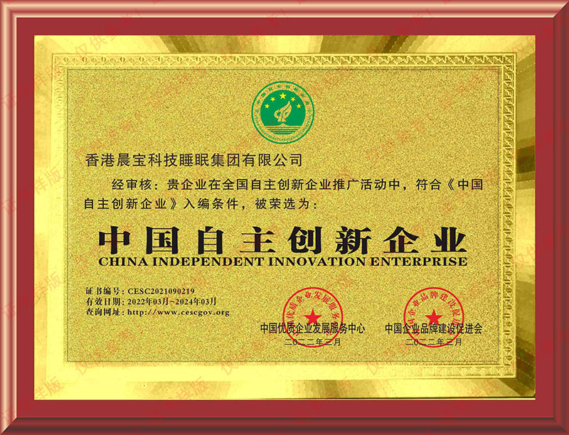 中國自主創新企業